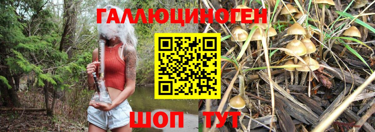 Рославль  Псилоцибиновые грибы мухоморы  Вход с VPN 