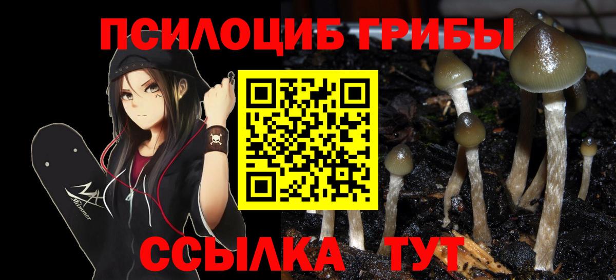Галлюциногенные грибы мицелий Рославль